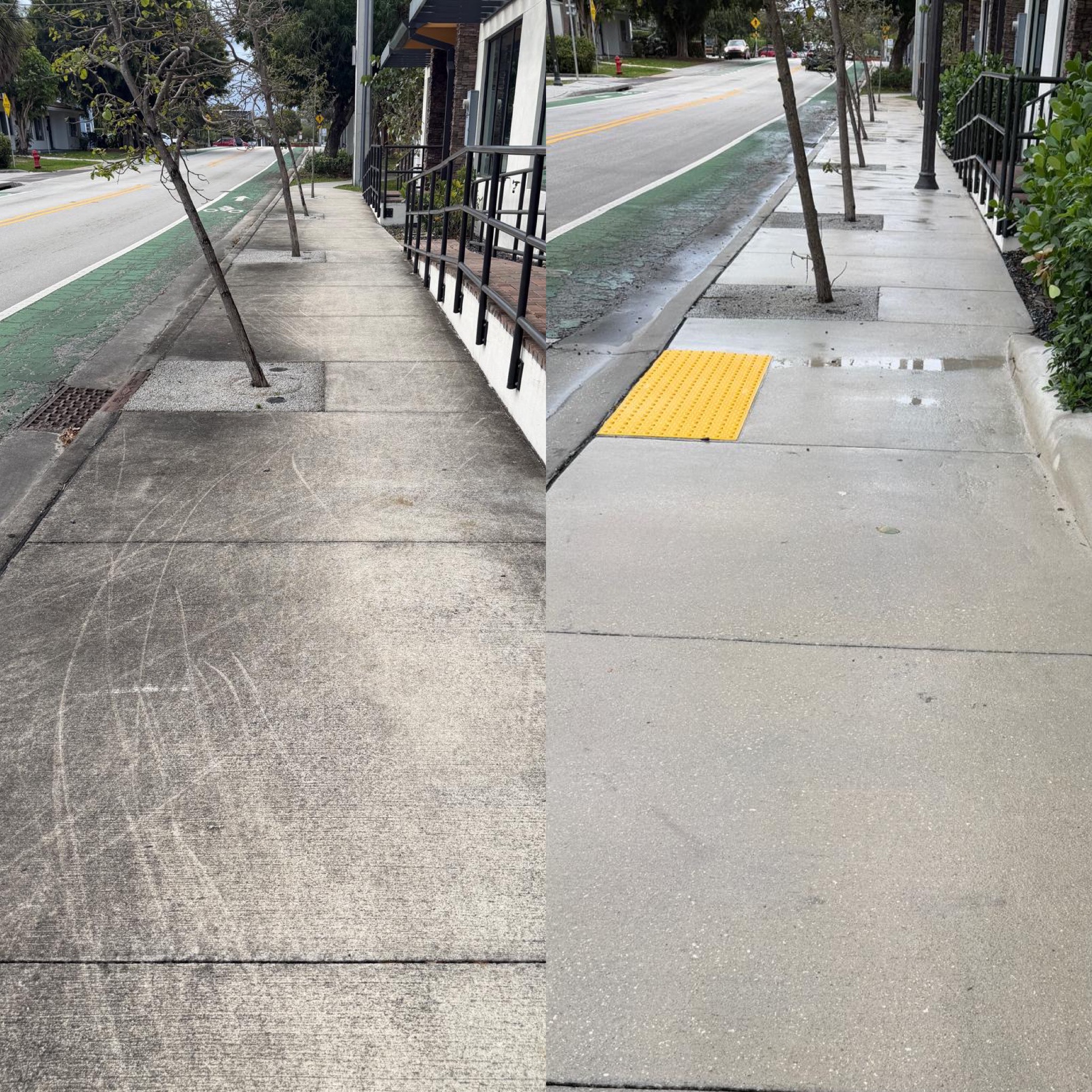 hollywood, fl
